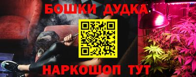 стаф Будённовск