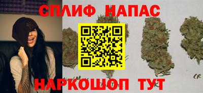 стаф Будённовск
