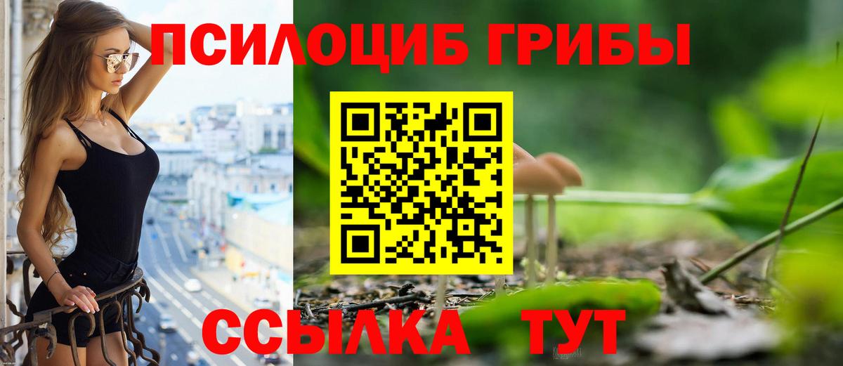 Псилоцибиновые грибы мицелий Троицк