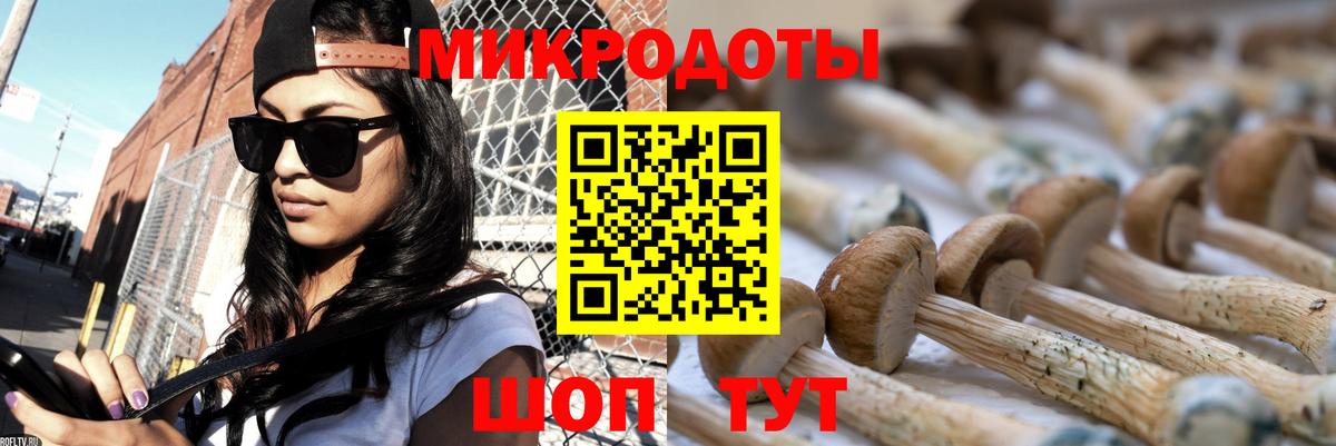 цена   Вход с VPN  Троицк  Псилоцибиновые грибы мицелий 