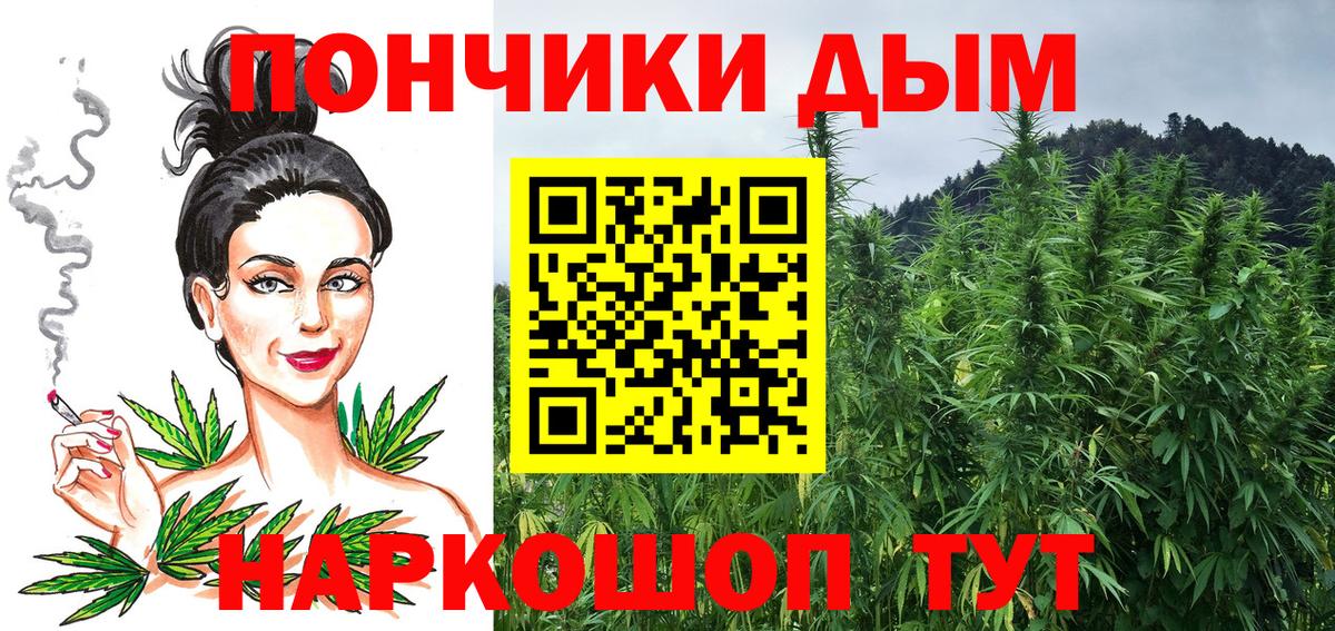 МАРИХУАНА ГИДРОПОН  МАРИХУАНА Bruce Banner  Конопля сатива  Конопля планчик  Троицк  Вход с VPN 